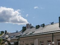 DSC 4081
